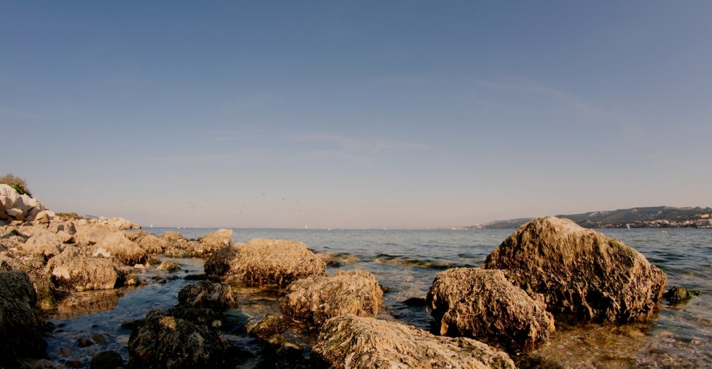 Sausset les pins
