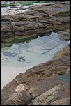 Coucouuuuu &#33;-maree-basse-2.jpg