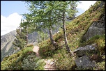 paysages 0011 
 
Chemin de montage 
 
Au dessus de Grimentz 
Val d'Anniviers, Valais, Suisse