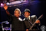 -chicago-blues-9688.jpg