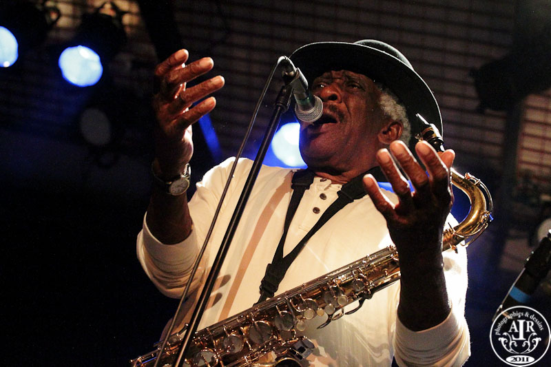 -chicago-blues-9604.jpg