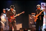 -chicago-blues-8952.jpg