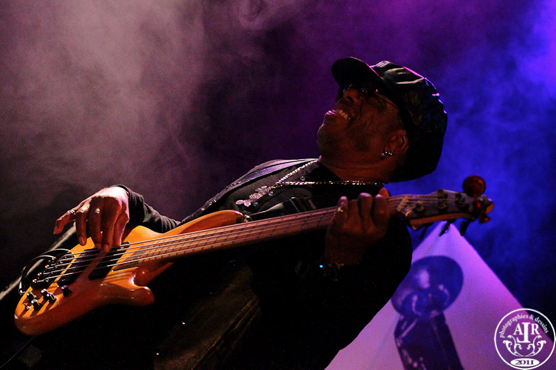 -chicago-blues-8729.jpg