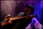 -chicago-blues-8729.jpg