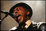 -chicago-blues-9394.jpg