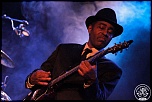 -chicago-blues-9648.jpg