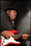 -chicago-blues-9384.jpg