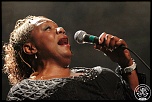 -chicago-blues-9035.jpg