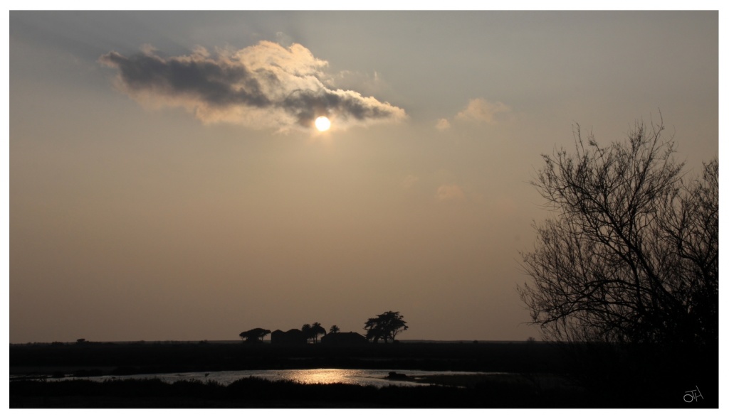 Devellopement-salins-des-pesquiers-giens-web.jpg