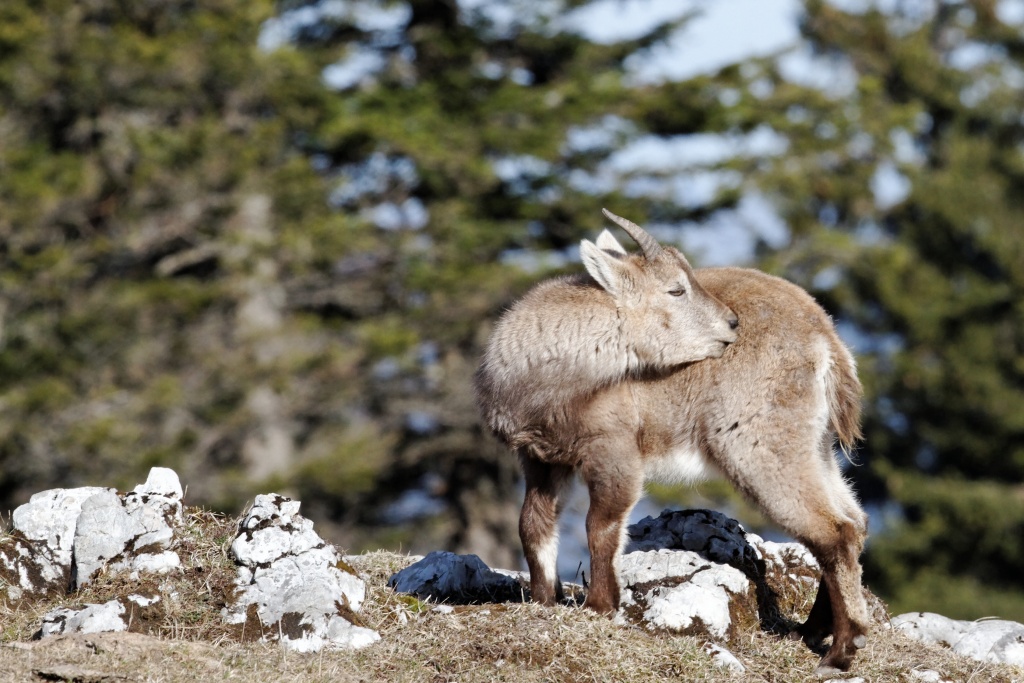 2011 04 02 0940 DxO raw