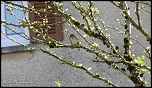 Et un de plus...-img_9329.jpg