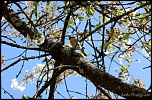 Et un de plus...-img_9343.jpg