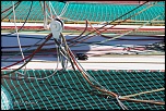 -matelotage-0042.jpg