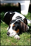 Et un de plus...-img_8588.jpg