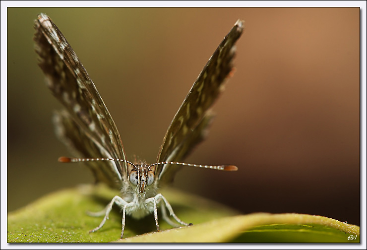 -40d_6640-cs-2-cadre2.jpg