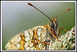 -img12170-cs-2-cadre2.jpg
