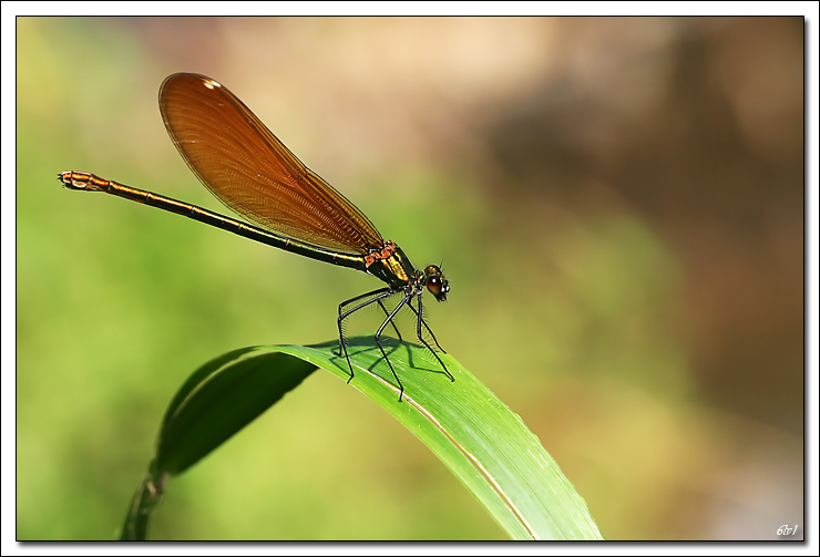 -img_6078-cs-pr-cadre2.jpg