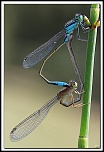 -40d_6292-cs-cadre2.jpg