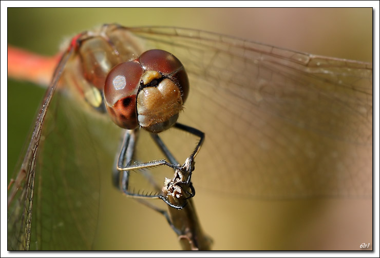 -40d_8236-cs-4-cadre2.jpg