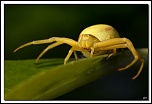 -40d10495-cs-4-cadre2.jpg