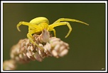 -40d_4477-cs-cadre2.jpg