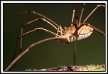 -img15020-cs-cadre2.jpg