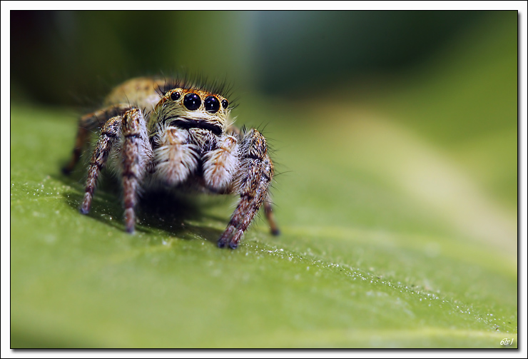 -40d10287-cs-2-cadre2.jpg