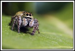 -40d10287-cs-2-cadre2.jpg