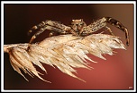 -40d_8033-cs-cadre2.jpg