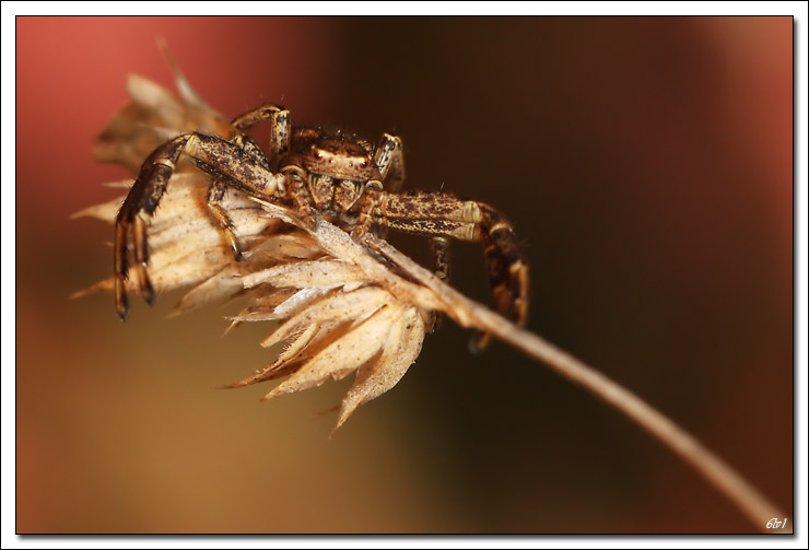 -40d_8032-cs-cadre2.jpg