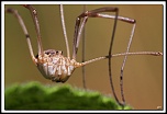 -40d_6132-cs-cadre2.jpg