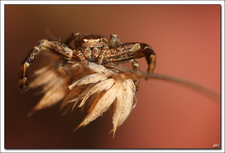 -40d_8030-cs-cadre2.jpg