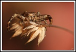-40d_8030-cs-cadre2.jpg