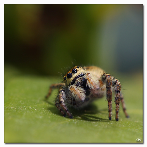 -40d10285-cs-2-cadre2.jpg