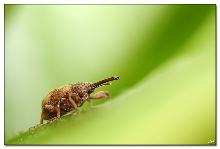 flash Metz 44AF4-C-40d10573-cs-2-cadre2.jpg
