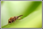 flash Metz 44AF4-C-40d10573-cs-2-cadre2.jpg