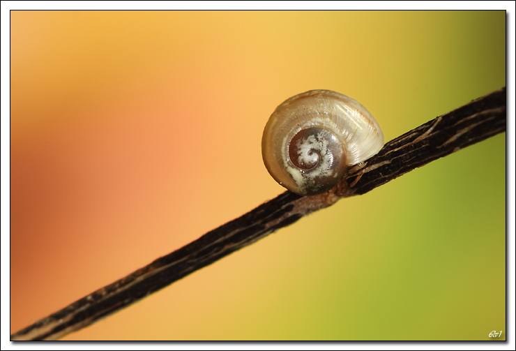 flash Metz 44AF4-C-40d_8078-cs-2-cadre2.jpg