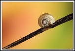 flash Metz 44AF4-C-40d_8078-cs-2-cadre2.jpg