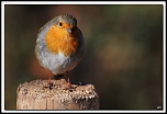 -40d_9356-cs-2-cadre2.jpg