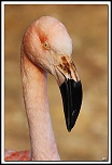 -40d_2342-cs-cadre2.jpg