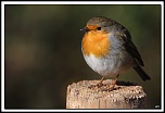 -40d_9348-cs-cadre2.jpg