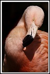 -img14363-cs-2-cadre2.jpg