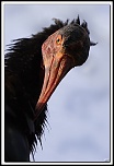 -img14088-cs-cadre2.jpg
