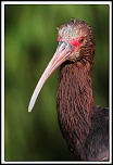 -40d_2353-cs-cadre2.jpg