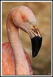 -40d_2341-cs-cadre2.jpg