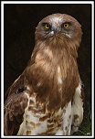 -40d_3991-cs-cadre2.jpg
