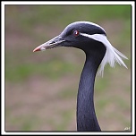 -40d_3978-cs-cadre2.jpg