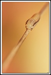 40D 7986 cs cadre2