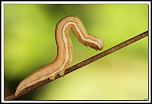 40D 8058 cs cadre2