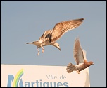 -img_3880_web.jpg